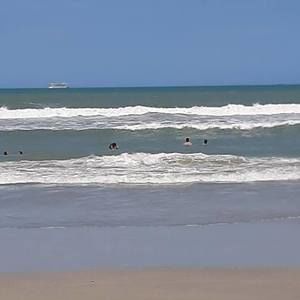 Meet your Posher, Pauline